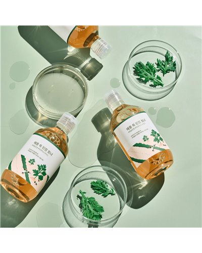 Round Lab
Mugwort Calming Toner – Ενυδατικό toner με αρτεμισια για καταπράυνση