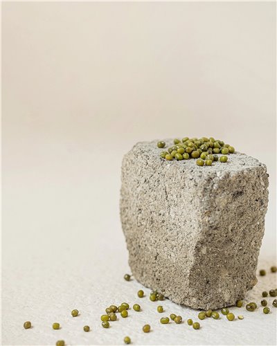 Beauty of Joseon
Green Plum Refreshing Toner AHA + BHA – Απολεπιστικό τονερ
